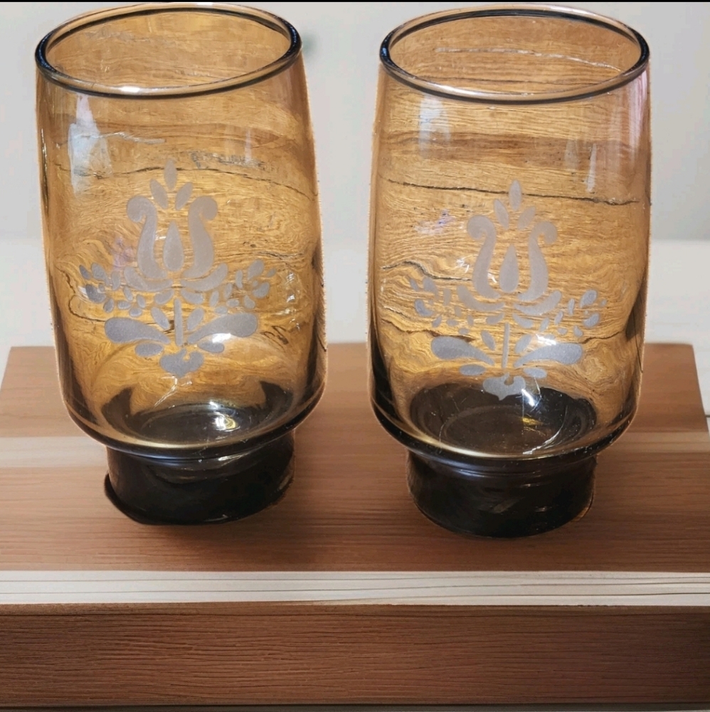 Set of 2 Pfaltzgraff Village Smoky Brown Glasses – Vintage Etched Tulip Design - Picture 2 of 6